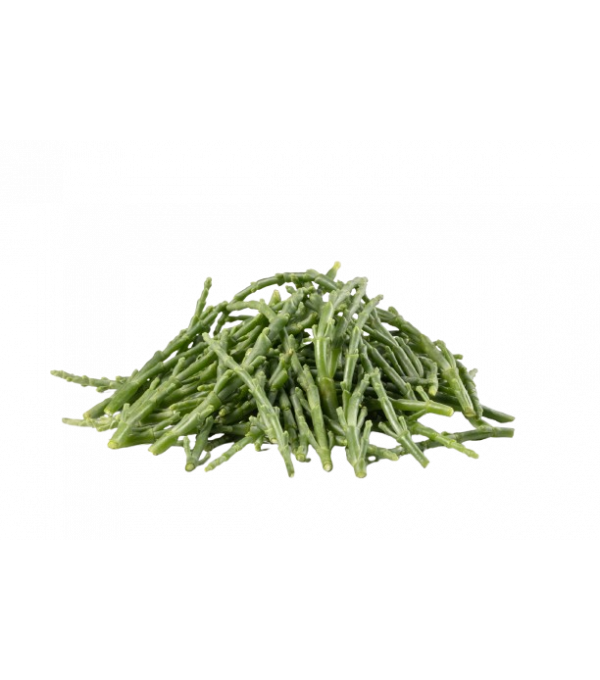 Achat en ligne SALICORNE VRAC FRANCE sur cash-alimentaire.com