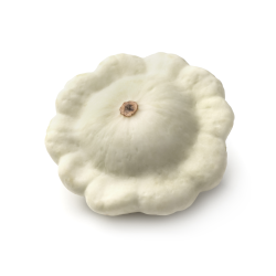 Achat en ligne PATISSON  BLANC sur cash-alimentaire.com