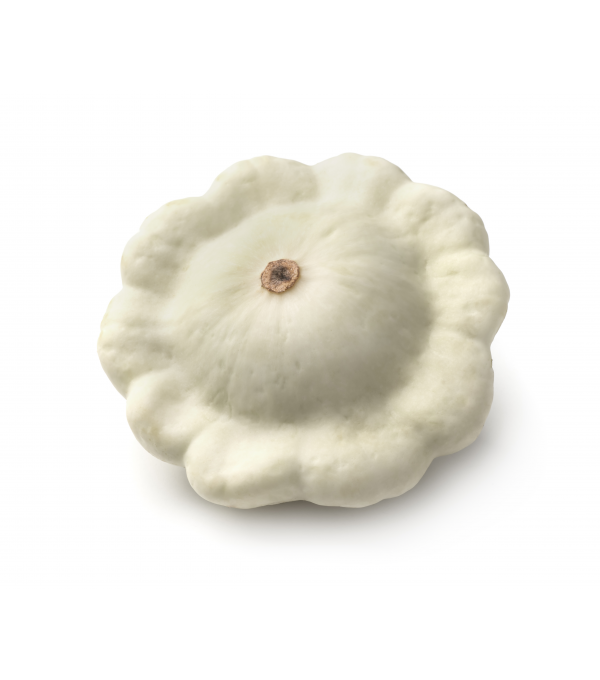 Achat en ligne PATISSON  BLANC sur cash-alimentaire.com