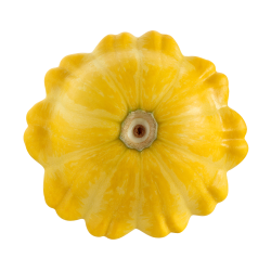 Achat en ligne PATISSON  JAUNE sur cash-alimentaire.com