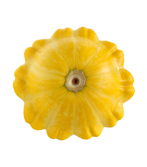 Achat en ligne PATISSON  JAUNE sur cash-alimentaire.com