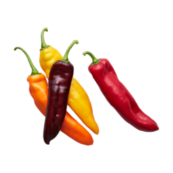 Achat en ligne POIVRON SALADE MIXTE sur cash-alimentaire.com