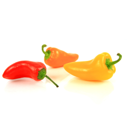 Achat en ligne MINI POIVRON 3 COULEURS sur cash-alimentaire.com