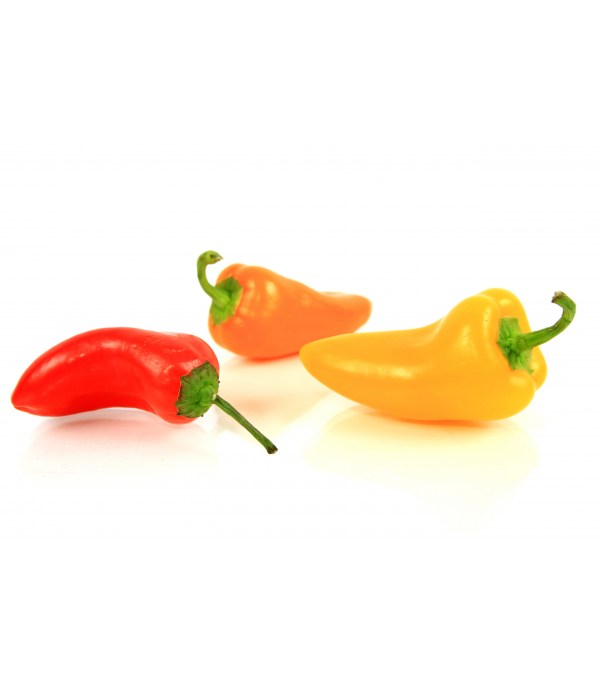 Achat en ligne MINI POIVRON 3 COULEURS sur cash-alimentaire.com