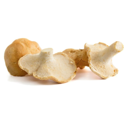 Achat en ligne PIED DE MOUTON FRANCE LE KG sur cash-alimentaire.com