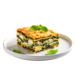 Achat en ligne LASAGNE RICOTTA CHEVRE EPINARDS sur cash-alimentaire.com