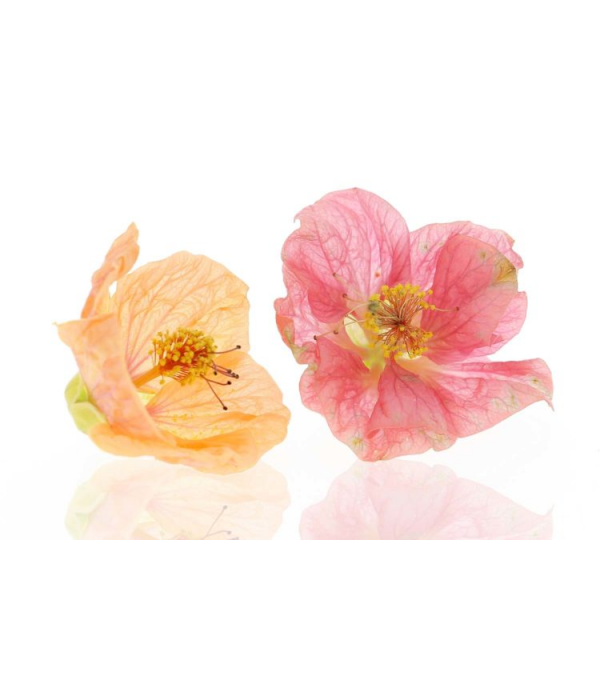 Achat en ligne FLEURS HIBISCUS LE SACHET X150GR VIETNAM sur cash-alimentaire.com