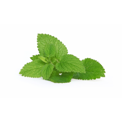 Achat en ligne MENTHE MOJITO FRANCE SACHET 500GR sur cash-alimentaire.com