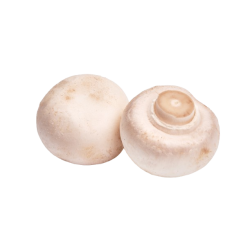 Achat en ligne CHAMPIGNONS PARIS MOYEN POLONAIS sur cash-alimentaire.com