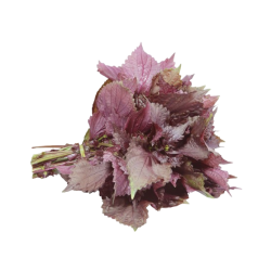 Achat en ligne FEUILLE DE TIA TO 100GR sur cash-alimentaire.com