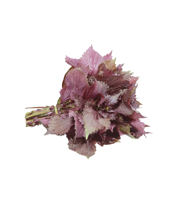 Achat en ligne FEUILLE DE TIA TO 100GR sur cash-alimentaire.com