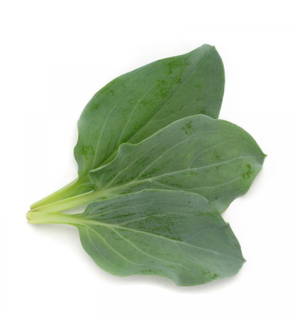 Achat en ligne FEUILLES HUITRES sur cash-alimentaire.com