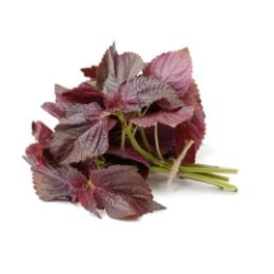 Achat en ligne SHIZO MIXTE sur cash-alimentaire.com