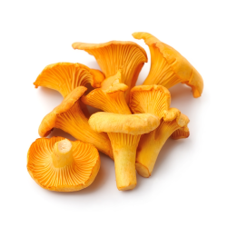 Achat en gros GIROLLE LITUANIE VIALADE sur cash-alimentaire.com