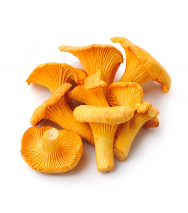 Achat en gros GIROLLE LITUANIE VIALADE sur cash-alimentaire.com