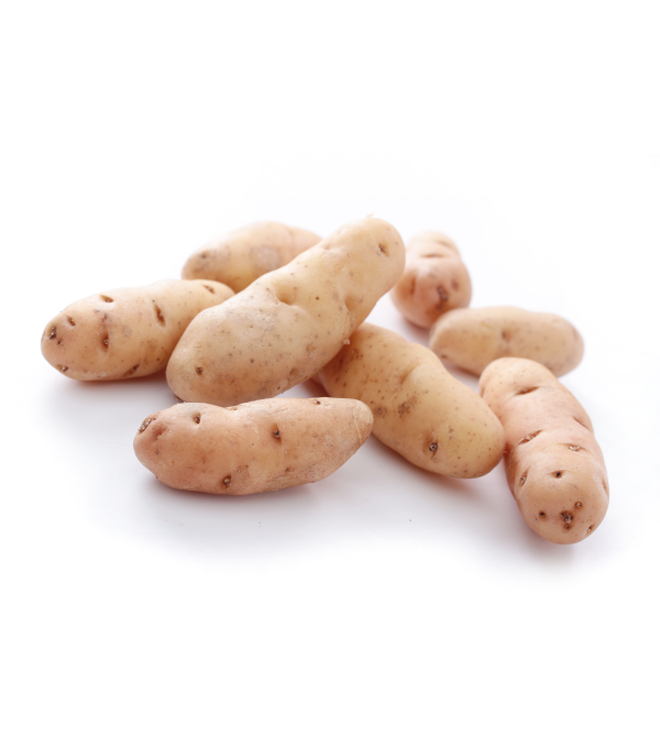 Achat en ligne POMME DE TERRE CORNE DE GATTE sur cash-alimentaire.com