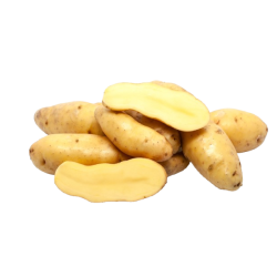 Achat en ligne POMME DE TERRE RATTE LE KG sur cash-alimentaire.com