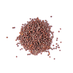 Achat en ligne MOUTARDE BRUNE ENTIERE SACHET 1KG sur cash-alimentaire.com