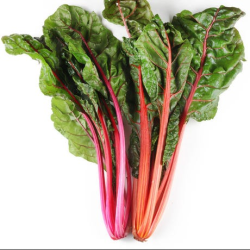 Achat en ligne BLETTE COLOREE FRANCE LA BOTTE sur cash-alimentaire.com