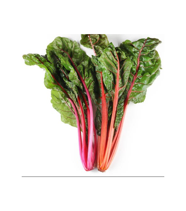 Achat en ligne BLETTE COLOREE FRANCE LA BOTTE sur cash-alimentaire.com