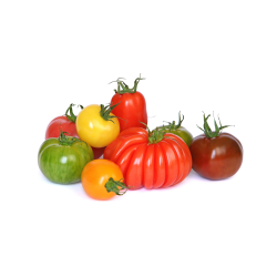 Achat en ligne TOMATE SAVEURS D'ANTAN LE KG ESPAGNE sur cash-alimentaire.com