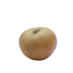 Achat en ligne POMME CLOCHARD VRAC FRANCE sur cash-alimentaire.com