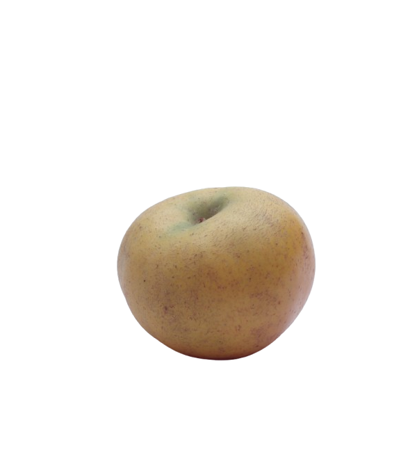 Achat en ligne POMME CLOCHARD VRAC FRANCE sur cash-alimentaire.com