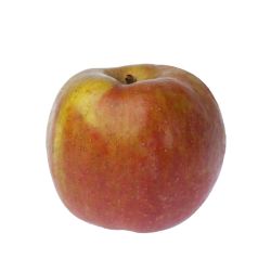 Achat en ligne POMME BELLE BOSKOOP FRANCE sur cash-alimentaire.com