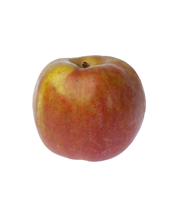 Achat en ligne POMME BELLE BOSKOOP FRANCE sur cash-alimentaire.com