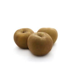 Achat en ligne POMME CANADA GRIS FRANCE sur cash-alimentaire.com