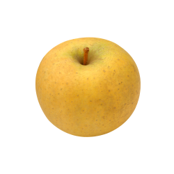 Achat en ligne POMME CHANTECLERC FRANCE sur cash-alimentaire.com