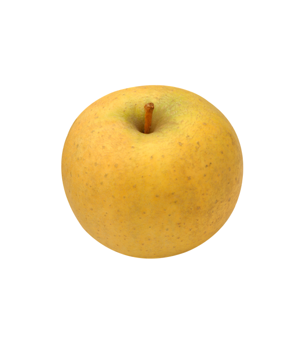 Achat en ligne POMME CHANTECLERC FRANCE sur cash-alimentaire.com