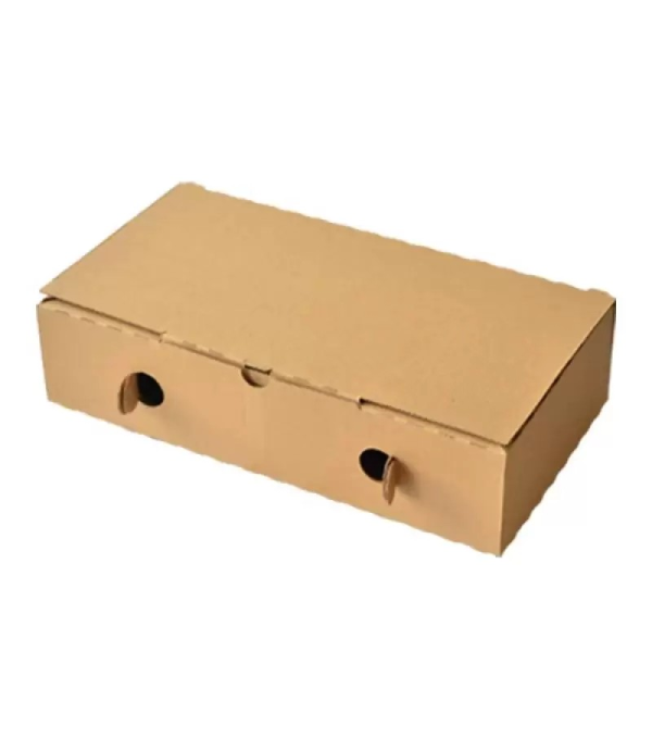 Achat en ligne BOITE PIZZA HAVANE CALZONE sur cash-alimentaire.com