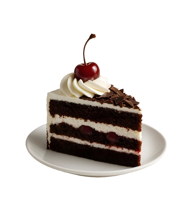 Achat en ligne FORET NOIRE DIAMETRE 24CM 1.2 KG LA PIECE sur cash-alimentaire.com