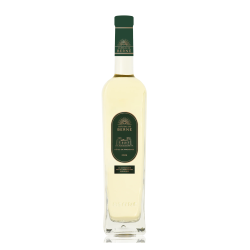 Côtes de Provence blanc biologique 2025 75 cl – AOP – Château de Berne