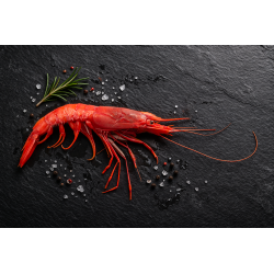 Crevettes rouges Mazara del Vallo surgelées 18/22 Giacalone 1kg – crevettes sauvages premium