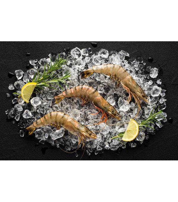 Crevettes entières crues surgelées 10/15 sauvages 2kg FAO34 Nigeria