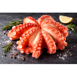 Poulpe entier nettoyé surgelé 1,5/2kg King Octopus – Octopus vulgaris FAO34
