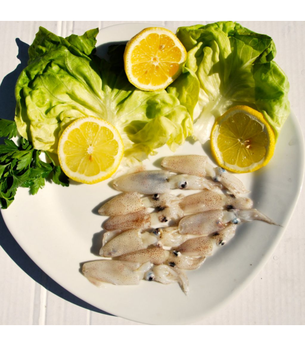 Calamars entiers friture surgelés 80+ kg Amarras 900g – encornets Inde FAO51