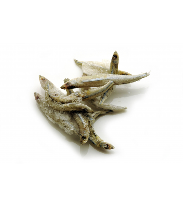 FRITURE DE MER JOELS KOKAMAN - prix grossiste - cash-alimentaire.com
FRITURE DE MER JOELS KOKAMAN - prix grossiste - cash-alimentaire.com