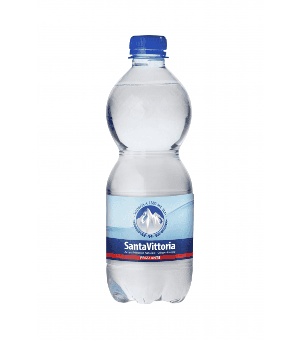 EAU MINERALE GAZEUSE PET 50CL X 12U CT EAU MINERALE GAZEUSE PET 50CL X 12U CT
