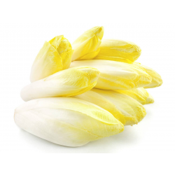 Destockage ENDIVE JAUNE TOMABEL - cash-alimentaire.com
