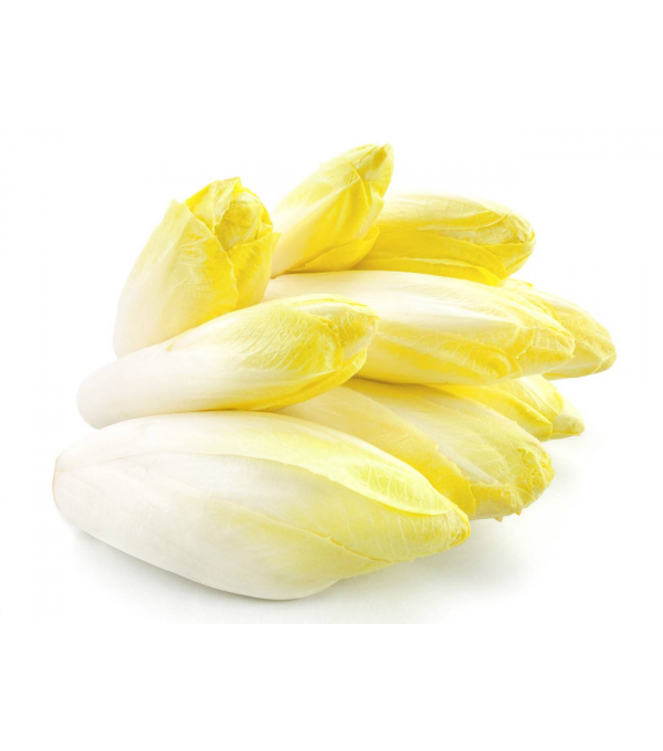 Destockage ENDIVE JAUNE TOMABEL - cash-alimentaire.com
