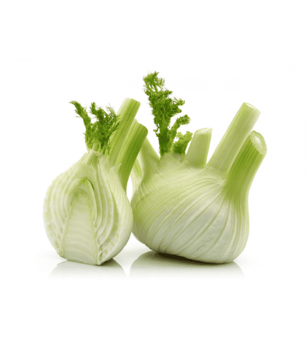 FENOUIL EXTRA CAL.10 (+-400GR) LE KG ITALIE FENOUIL EXTRA CAL.10 (+-400GR) LE KG ITALIE