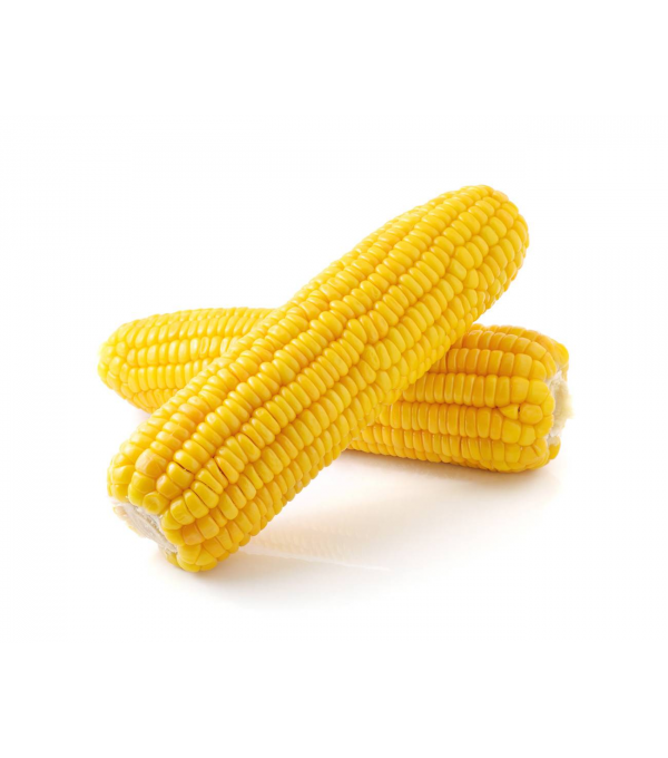 Destockage MAIS EPIS ALP CORN - cash-alimentaire.com
