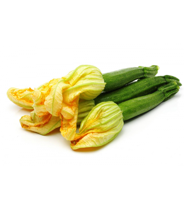 Destockage COURGETTE FLEURS CASE - cash-alimentaire.com
