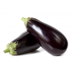 Destockage AUBERGINE NOIRE EUROSUR - cash-alimentaire.com
