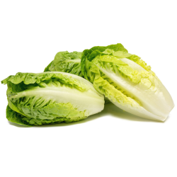 Destockage SUCRINE PRIMAFLOR - cash-alimentaire.com