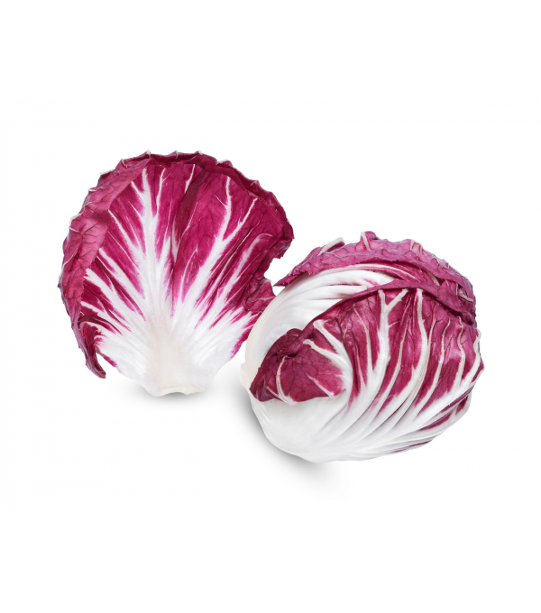 Destockage TREVISE LONGUE MORANDO - cash-alimentaire.com
