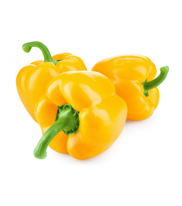 Destockage POIVRON JAUNE CLOVIS GGA BORRACCIA - cash-alimentaire.com